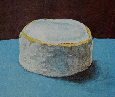 Charlotte Henneberg, Camembert mit weißem Camembertschimmel